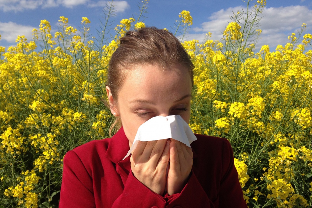 Tips to Combat Allergy Season