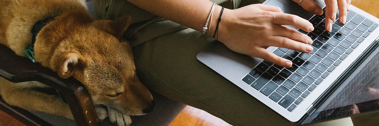 dog sitting next to woman working